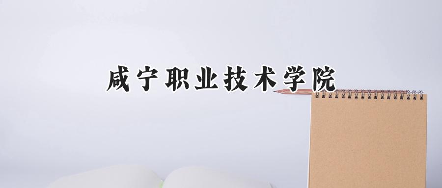 咸宁职业技术学院