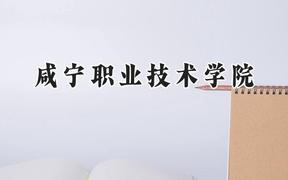 咸宁职业技术学院2024在河北录取分数线是多少？最低348分/最高442分