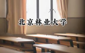 北京林业大学2024在上海录取分数线是多少？最低524分/最高547分