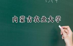 2024内蒙古农业大学录取分数线：青海最低350分