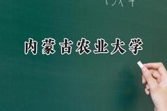 2024内蒙古农业大学录取分数线：青海最低350分