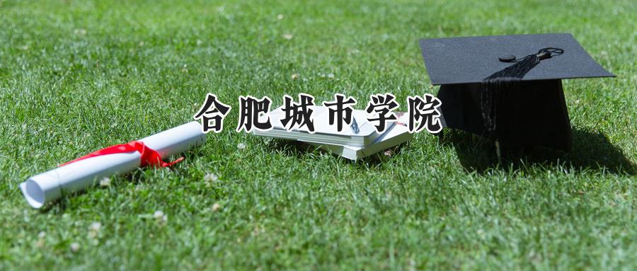 合肥城市学院