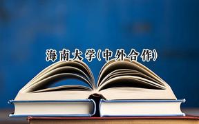 2024海南大学(中外合作)录取分数线：山西最低517分