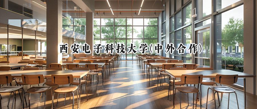 西安电子科技大学(中外合作)