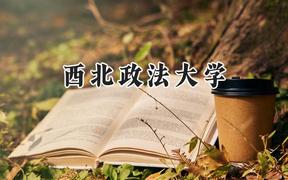 西北政法大学2024在内蒙古录取分数线是多少？最低497分/最高591分