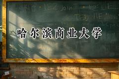 哈尔滨商业大学2024在山西录取分数线是多少？最低428分/最高536分