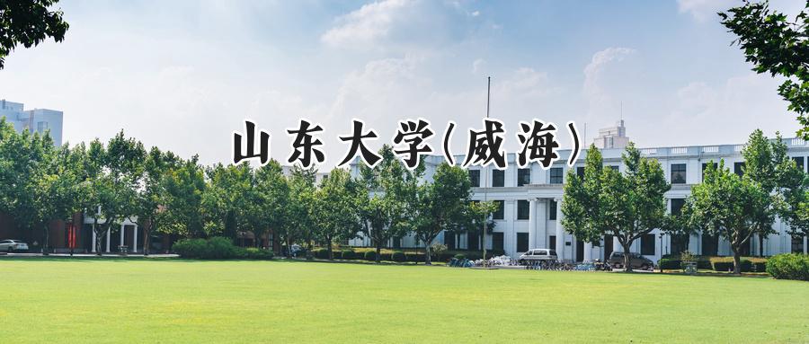 山东大学(威海)