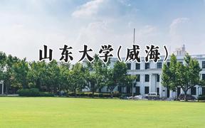 山东大学(威海)2024在河北录取分数线是多少？最低611分/最高632分