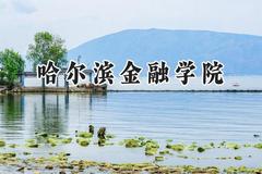 哈尔滨金融学院2024在贵州录取分数线是多少？最低437分/最高516分