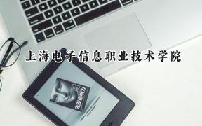 上海电子信息职业技术学院2024在内蒙古录取分数线是多少？最低308分/最高363分