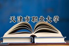2024天津市职业大学录取分数线：青海最低315分