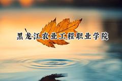2024黑龙江农业工程职业学院录取分数线：江苏最低304分