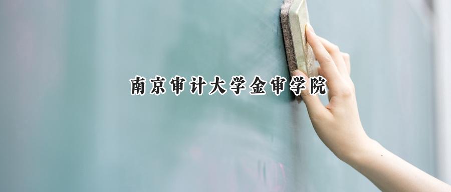 南京审计大学金审学院