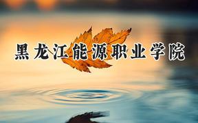 2024黑龙江能源职业学院录取分数线：宁夏最低263分