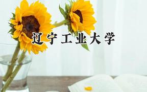 2024辽宁工业大学录取分数线：山西最低468分