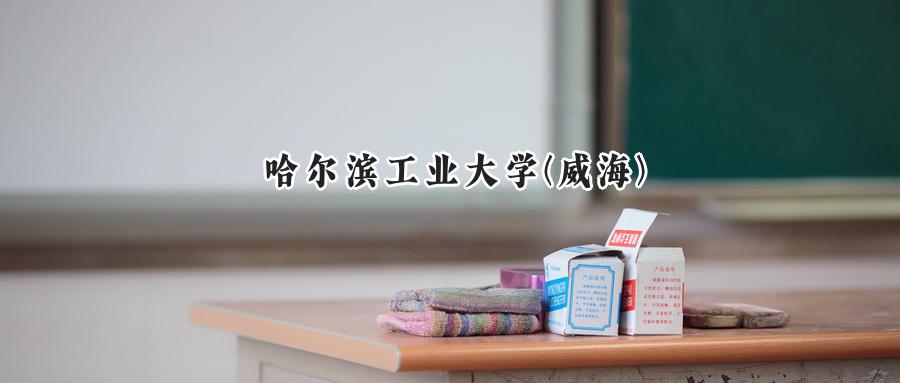 哈尔滨工业大学(威海)
