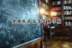 楚雄医药高等专科学校2024在河北录取分数线是多少？最低271分/最高455分