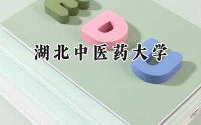2024湖北中医药大学录取分数线：青海最低374分