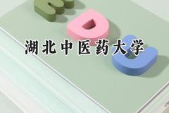 2024湖北中医药大学录取分数线：青海最低374分
