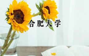 合肥大学2024在浙江录取分数线是多少？最低543分/最高597分