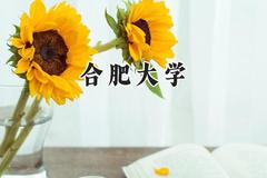合肥大学2024在浙江录取分数线是多少？最低543分/最高597分