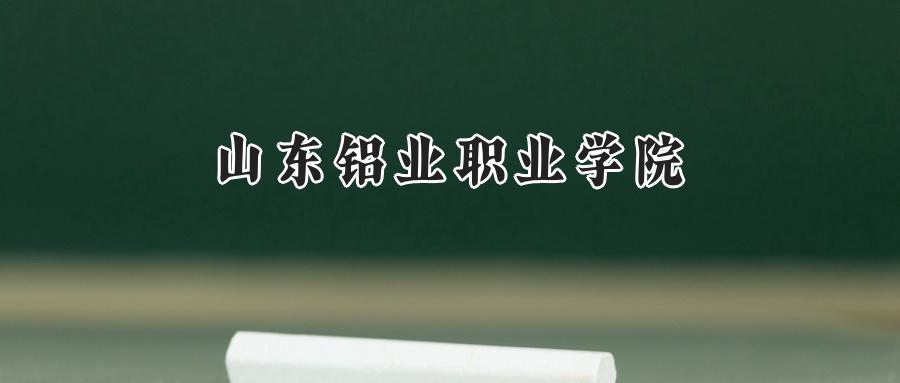 山东铝业职业学院