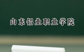 山东铝业职业学院2024在贵州录取分数线是多少？最低314分/最高402分