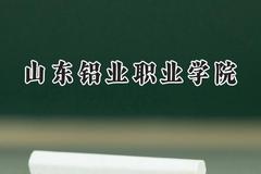 山东铝业职业学院2024在贵州录取分数线是多少？最低314分/最高402分