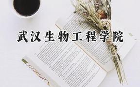 武汉生物工程学院2024在内蒙古录取分数线是多少？最低241分/最高416分