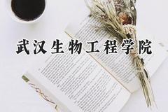 武汉生物工程学院2024在内蒙古录取分数线是多少？最低241分/最高416分