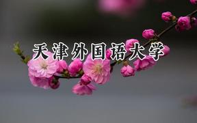 2024天津外国语大学录取分数线：天津最低533分
