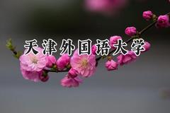2024天津外国语大学录取分数线：天津最低533分