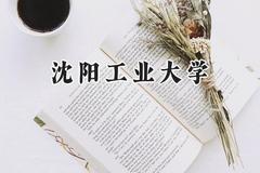 2024沈阳工业大学录取分数线：青海最低353分