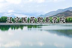辽宁医药职业学院2024在贵州录取分数线是多少？最低267分/最高421分