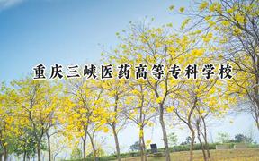 2024重庆三峡医药高等专科学校录取分数线：宁夏最低379分