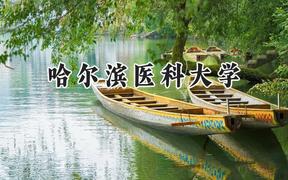2024哈尔滨医科大学录取分数线：新疆最低505分