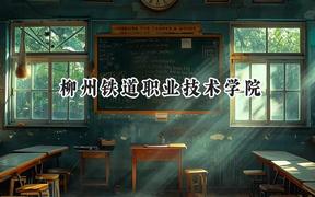 2024柳州铁道职业技术学院录取分数线：青海最低307分