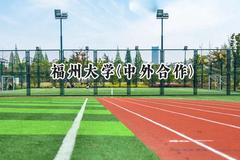 2024福州大学(中外合作)录取分数线：山西最低544分