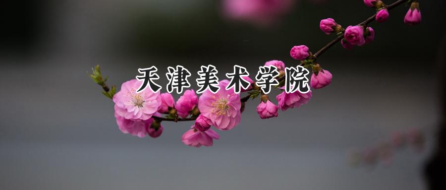 天津美术学院