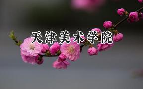 天津美术学院2024在浙江录取分数线是多少？最低586分/最高595分