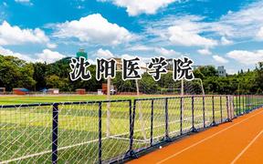 沈阳医学院2024在天津录取分数线是多少？最低510分/最高585分
