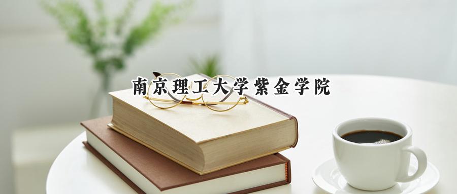 南京理工大学紫金学院