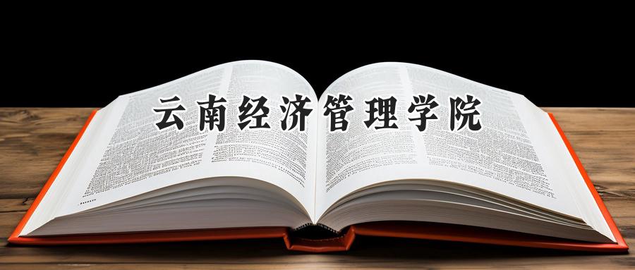 云南经济管理学院