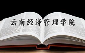 2024云南经济管理学院录取分数线：青海最低213分