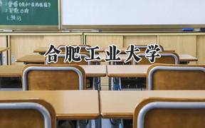 2024合肥工业大学录取分数线：新疆最低458分