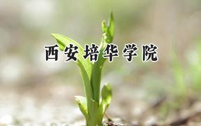西安培华学院2024在天津录取分数线是多少？最低482分/最高503分