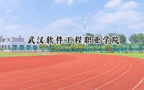 武汉软件工程职业学院2024在上海录取分数线是多少？最低146分/最高225分