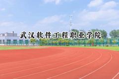武汉软件工程职业学院2024在上海录取分数线是多少？最低146分/最高225分