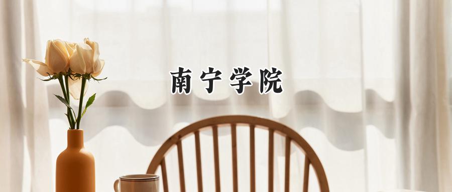 南宁学院
