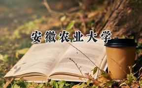 2024安徽农业大学录取分数线：天津最低516分